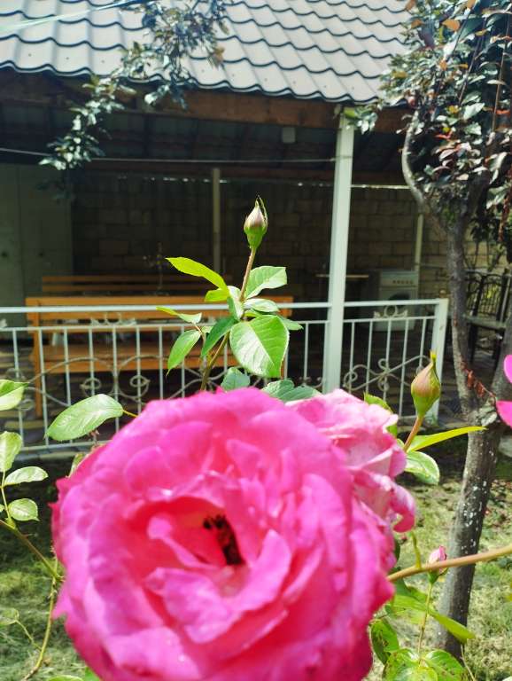 İsmayıllı R4QR+V9 Xanəgah, Azerbaijan günlük kirayə Həyət evi / Villa 100 AZN-a 4 otaqlı