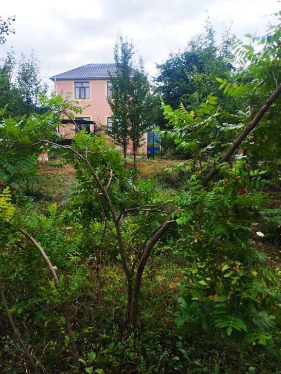 İsmayıllı R4QR+V9 Xanəgah, Azerbaijan Azərbaycanda günlük kirayə Həyət evi / Villa 100 AZN-a 4 otaqlı
