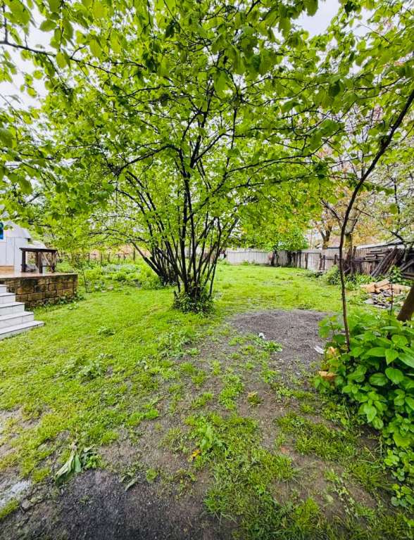 Qəbələ Qəbələ günlük kirayə Həyət evi / Villa 100 AZN-a 3 otaqlı