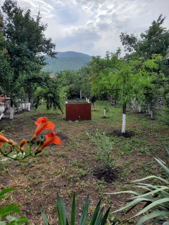 Şəki I. Hemidov günlük kirayə Həyət evi / Villa 70 AZN-a 3 otaqlı