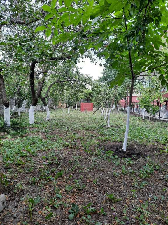 Şəki I. Hemidov günlük kirayə Həyət evi / Villa 70 AZN-a 3 otaqlı