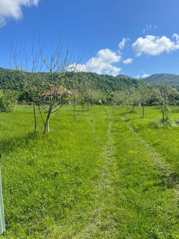 İsmayıllı Ismayilli rayonu günlük kirayə Həyət evi / Villa 70 AZN-a 3 otaqlı