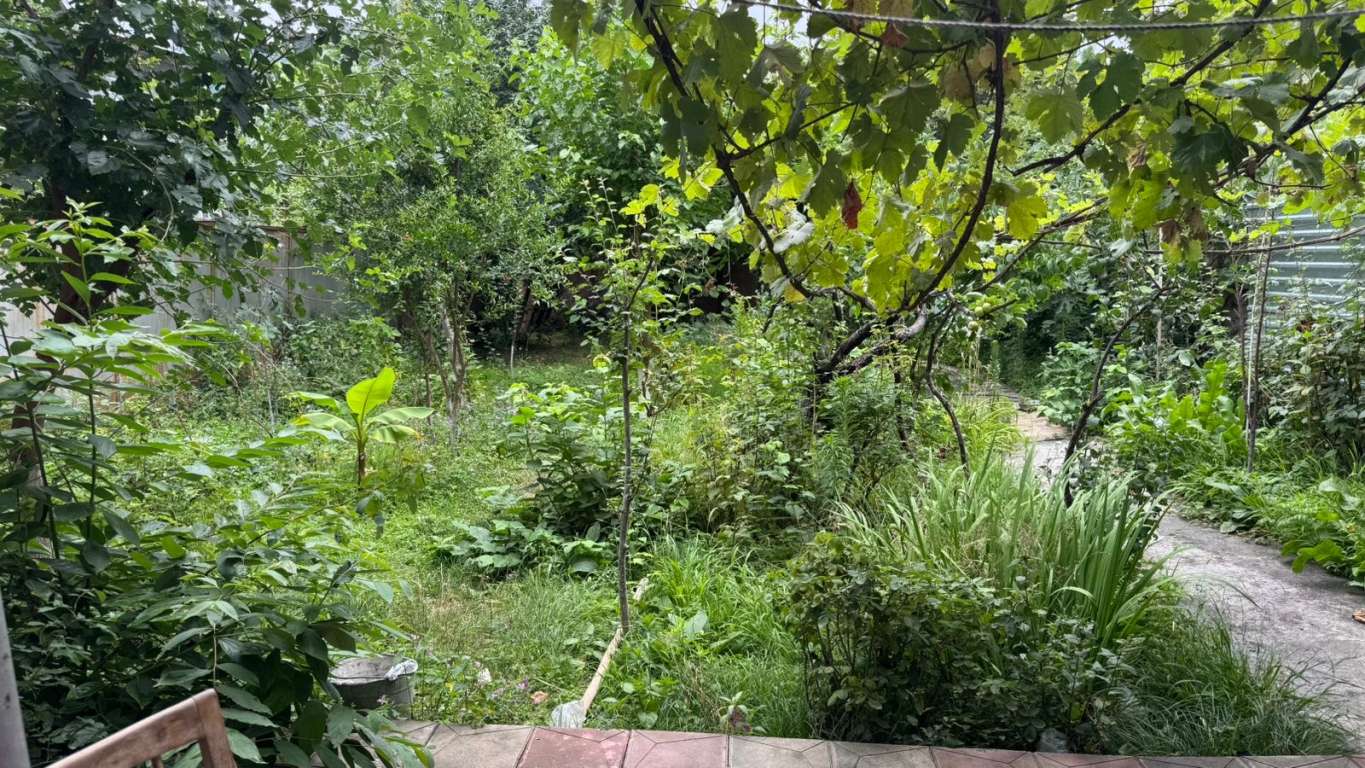 Şəki 18 Sarı Torpaq küçəsi, Şəki 5500, Азербайджан günlük kirayə Həyət evi / Villa 50 AZN-a 5 otaqlı